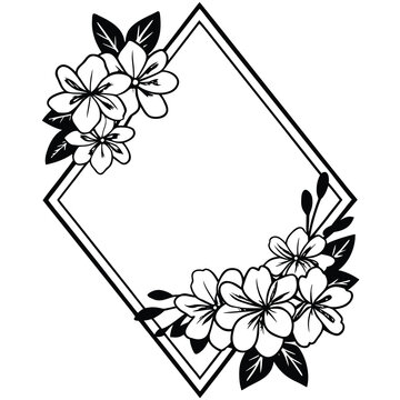 botanical line art flowers minimal elegant vector