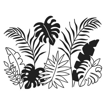 vibrant jungle plants composition with flat lay