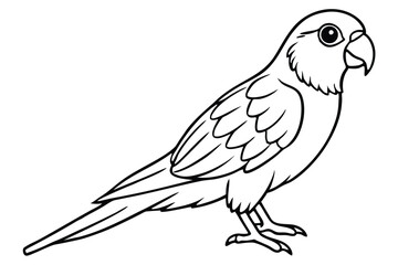 Fototapeta premium lorikeet bird silhouette line art vector illustration with a white background