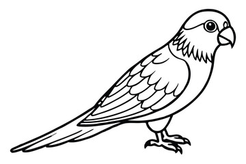 Fototapeta premium lorikeet bird silhouette line art vector illustration with a white background