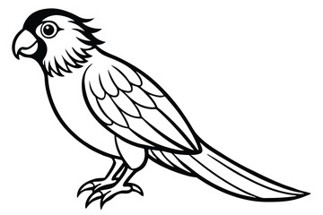 Obraz premium lorikeet bird silhouette line art vector illustration with a white background