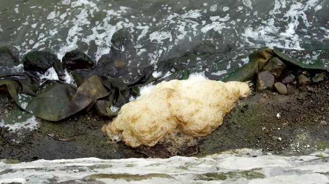 Large toxic brownish-white foam accumulating on a rocky riverbank in Southeast Asia, illustrating severe water pollution, industrial waste, and environmental degradation.