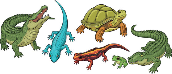 Obraz premium Reptile animal collection featuring crocodile turtle lizard salamander frog wildlife set detailed colorful vector illustration isolated on white background