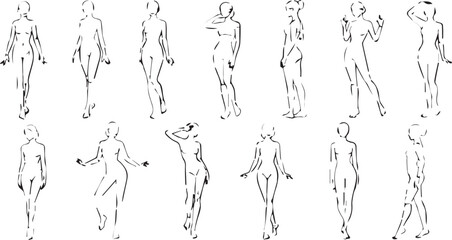 Fototapeta premium Set of 15 Female Figure Drawing Poses Vector isolated PNG with Transparent Background