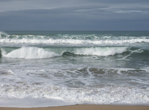 olas