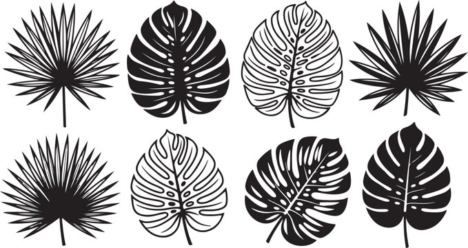 Symmetrical black and white mandala patterns in circular designs Vector