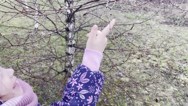 little chid touching raindrops on birch tree branches in early spring