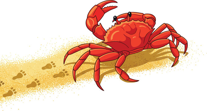 A Red Crab Walking on Sand Leaving Footprints.