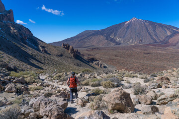 Fototapeta premium A tourist is walking along a nature trail in Teide National Park. Canary Islands. Tenerife.