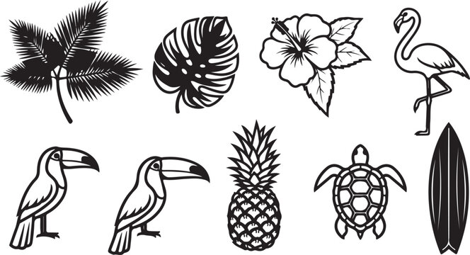 Outline sketches of various echinoderms including sea urchins, starfish, and sea cucumber Vector