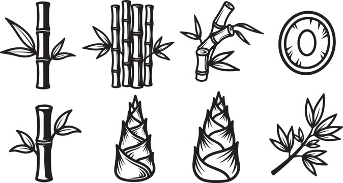 Illustrations of different types of plant species and botanical structures Vector