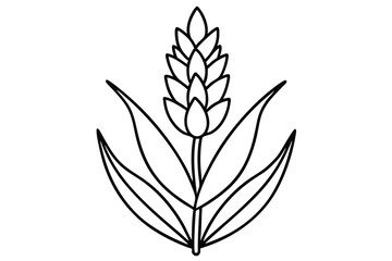 Obraz premium lavender flower silhouette line art vector illustration with a white background