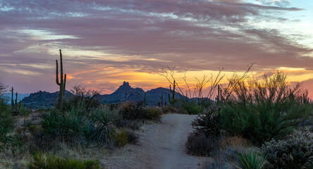 Wide Ratio Sunset View Of Pinnacle Peak From Hiking Trail In Scottsdale