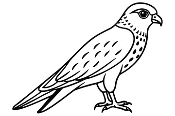 Fototapeta premium kestrel bird silhouette line art vector illustration with a white background