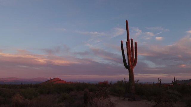  Sunset Time-lapse Near A Desert Preserve Trail In North Scottsdale Arizona With Saguaro Cacti