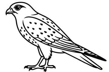 Fototapeta premium kestrel bird silhouette line art vector illustration with a white background