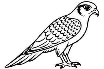 Fototapeta premium kestrel bird silhouette line art vector illustration with a white background