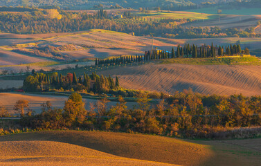 Fototapeta premium Tuscan countryside with rolling hills and cypress trees at sunset, San Quirico d'Orcia, Italy.