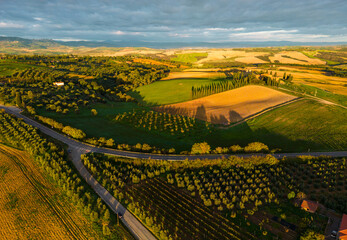 Fototapeta premium Tuscany hills landscape with cypress trees and winding road, San Quirico d'Orcia, Italy.