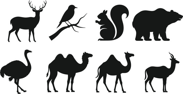Black silhouette collection of diverse wildlife animals including deer bird squirrel bear ostrich camel and antelope isolated on white background for nature design concept.
