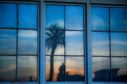 Palm tree reflection in window at sunset with soft pastel tones