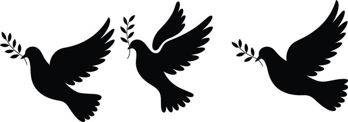 Black silhouette of three doves of peace flying with olive branches in their beaks isolated on white background for religious or international peace day concept. © Mehedi