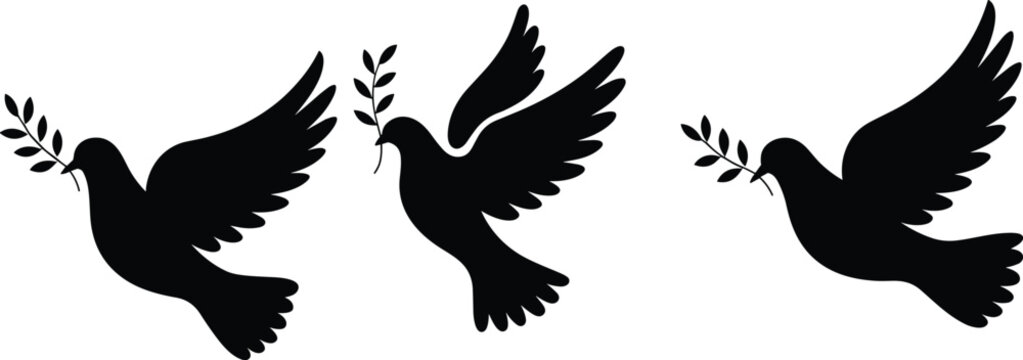 Black silhouette of three doves of peace flying with olive branches in their beaks isolated on white background for religious or international peace day concept.