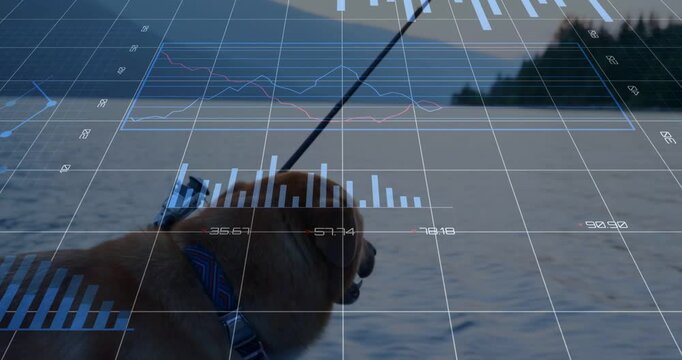 Leash tug, dog panting and head-turning, camera lifting while HUD shifting to monitor device data