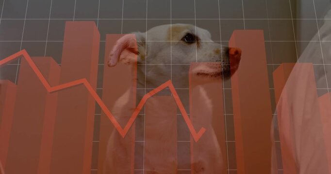 White dog blinking and turning right, responding to rising red chart with grid for data analytics