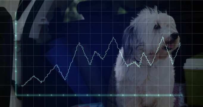 Shaggy dog sitting in cargo, reacting while waveform drawing from left on grid showing audio tech
