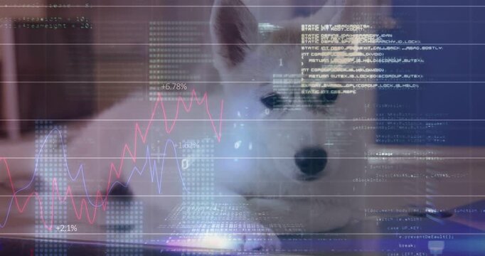 Husky-type dog lifting head left reacting to incoming hand, HUD charts projecting data onto nose