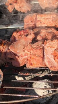 Juicy Meat Grilling on Charcoal Grill, Close-Up BBQ Cooking Outdoors