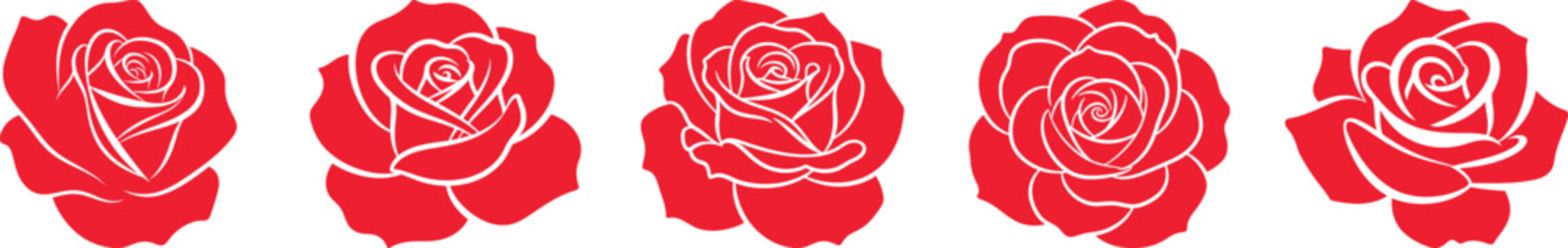 Five red chili peppers in a row vibrant and fresh produce display