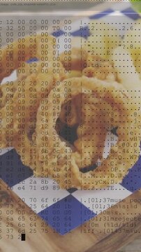 Vertical video: Onion rings resting on board while camera creeping and revealing tech hex overlay