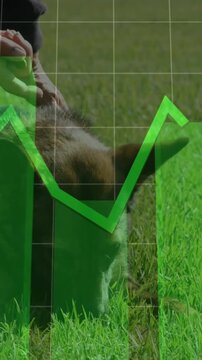 Vertical video: Lady giving treat as patting dog head, green grid shifting over hands for pet care