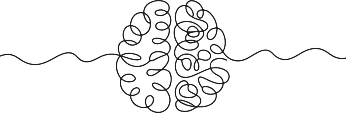 Intricate black and white line of a brain with detailed convolutions anatomy line convolutions neuroscience