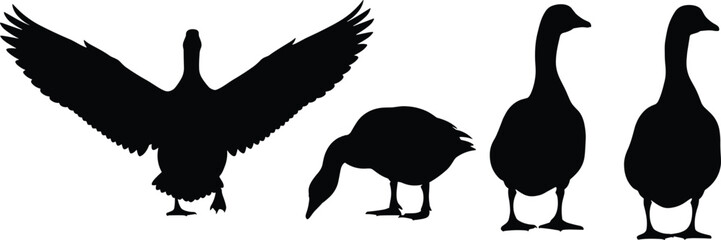 Stylized black silhouettes of geese in varied natural poses, creative bird illustration, minimal vector artwork concept showing flight, grazing, and standing behavior © MDAMIRHAMJA