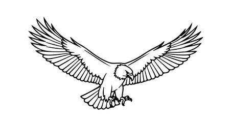 Obraz premium A minimalist vector illustration of an eagle in flight with outstretched wings on a transparent background