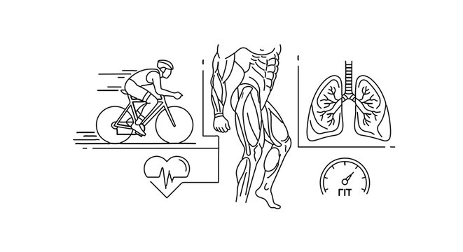 A vector graphic illustration of a human body with various fitness and health related icons