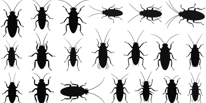 Cockroach silhouettes vector set featuring various insect poses and angles, isolated cockroach icons on white background for pest control design, entomology study, and graphic illustration