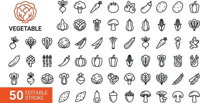 Detailed Organic Vegetable Vector Icon Set Featuring Fresh Produce Line Art with Editable Strokes for Healthy Eating and Culinary Design