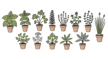 Fototapeta premium A vibrant collection of aromatic herbs, including basil, mint, rosemary, thyme, oregano, chives, parsley, dill, and sage, in small pots.