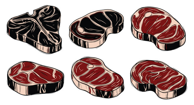 Illustration of various cuts of raw beef steak showcasing marbling and textures