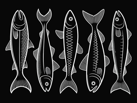 Small sprat fish linear art vector collection, seafood menu illustration with sardines and sprats, white outline ocean fish isolated on black background, minimalist marine design