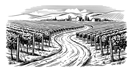 Fototapeta premium Vineyard landscape with winding road and villa vintage engraving