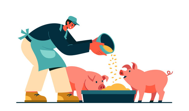 Farmer feeding pigs with bowl and trough flat style