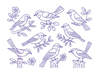 Fototapeta premium Birds perch on branches. Birds.