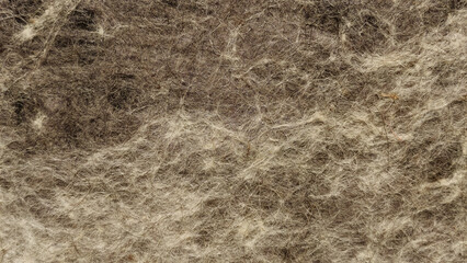 Natural felted wool texture. Brown gray fibrous material close up © Анатолий Еремин
