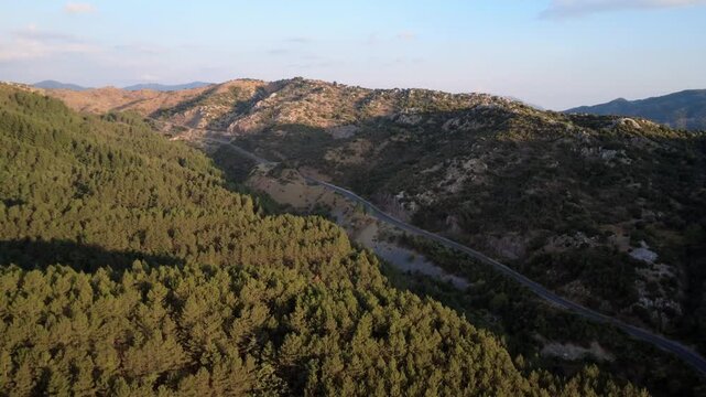 Scenic moutain national road passes through a fir forest under the sunset glow