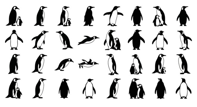 Collection of black and white penguin silhouettes in various poses and actions including standing wading flying and with chicks isolated on a clean white background
